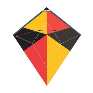 NEW High Performance Dual Control Stunt Kite With Storage Case Red-Yellow-Green